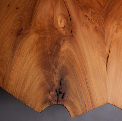 Madrona table, crotch from above. Madrona table, crotch from above.